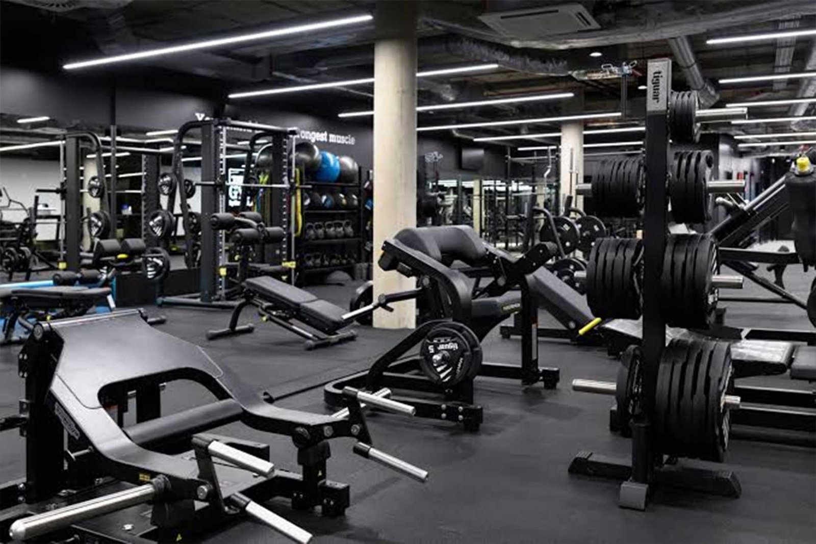 Train at Sherdil 1010 Club