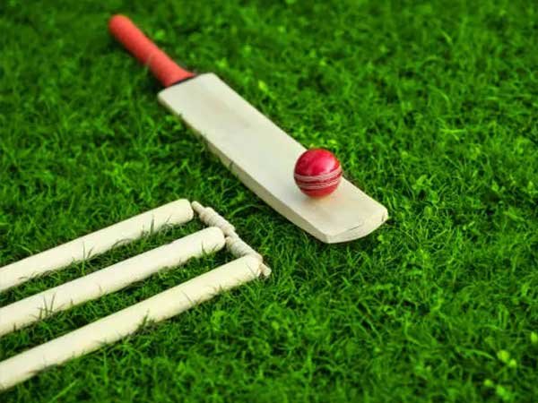 Box cricket arena at Sherdil 1010 Club